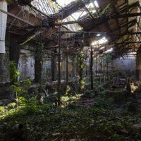 Jungle Factory [lost]