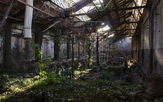 Jungle Factory [lost]