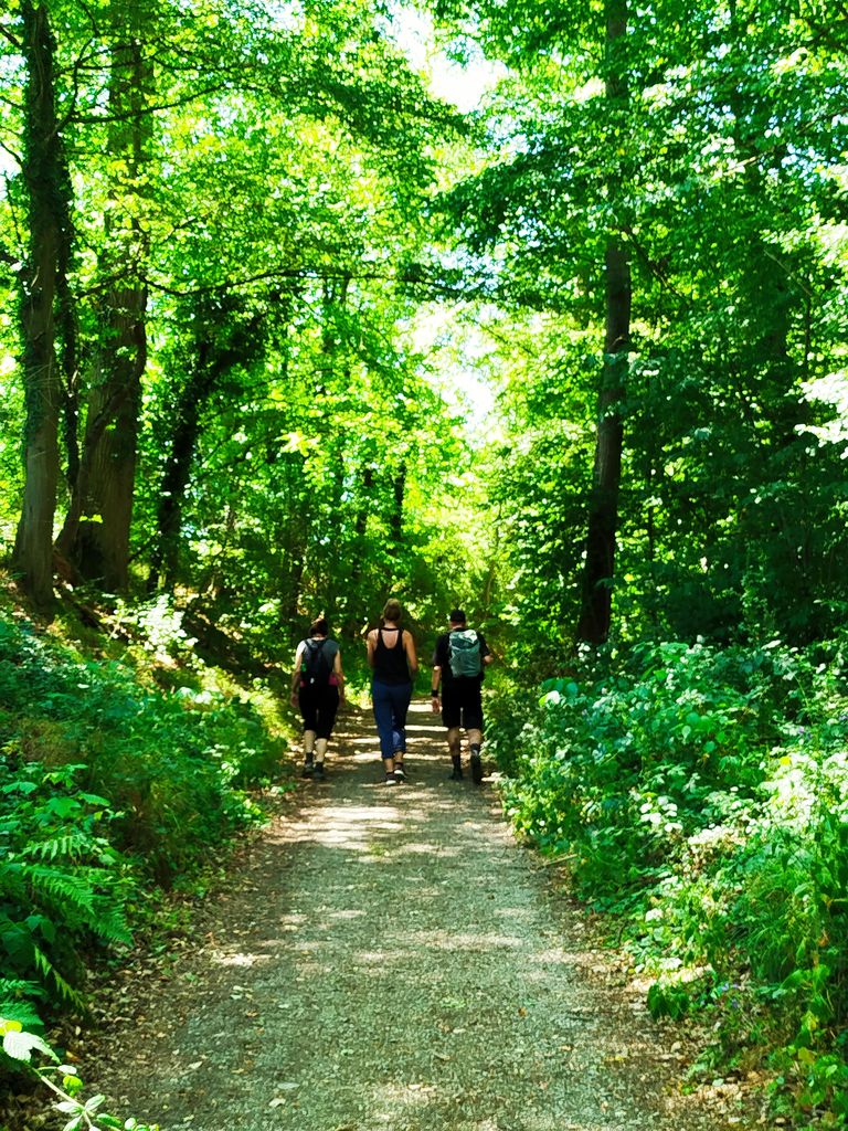 Triefenstein Wandern